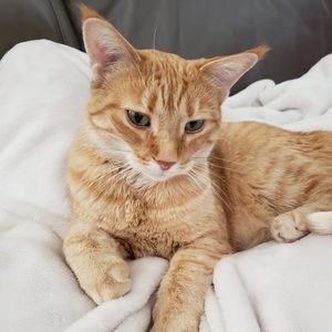 Meet your Posher, Kay